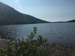 A calm Acadia pond ringed by low wooded mountains under a bright sky