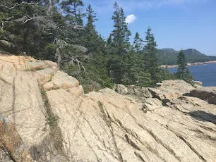 Pink granite ledges with wind bent spruce trees along the Acadia coastline above the sea