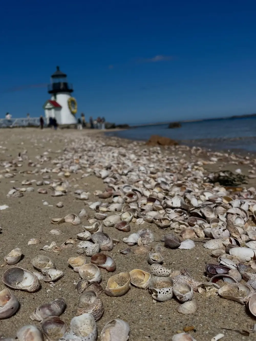 Brant Point Light seen low across a bank of broken shells at the mouth of Nantucket Harbor