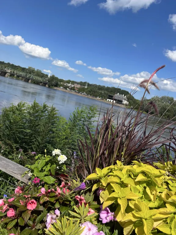 View of the Delaware River from New Hope Pennsylvania, framed by riverside flowers and grasses