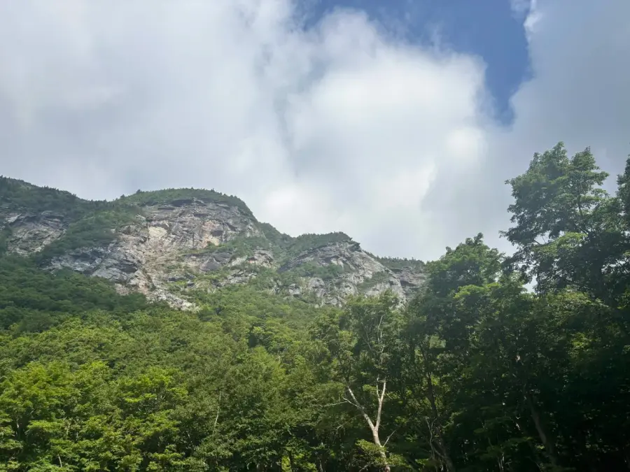 Grey cliff faces of Smugglers Notch rising above dense green summer forest under dramatic clouds