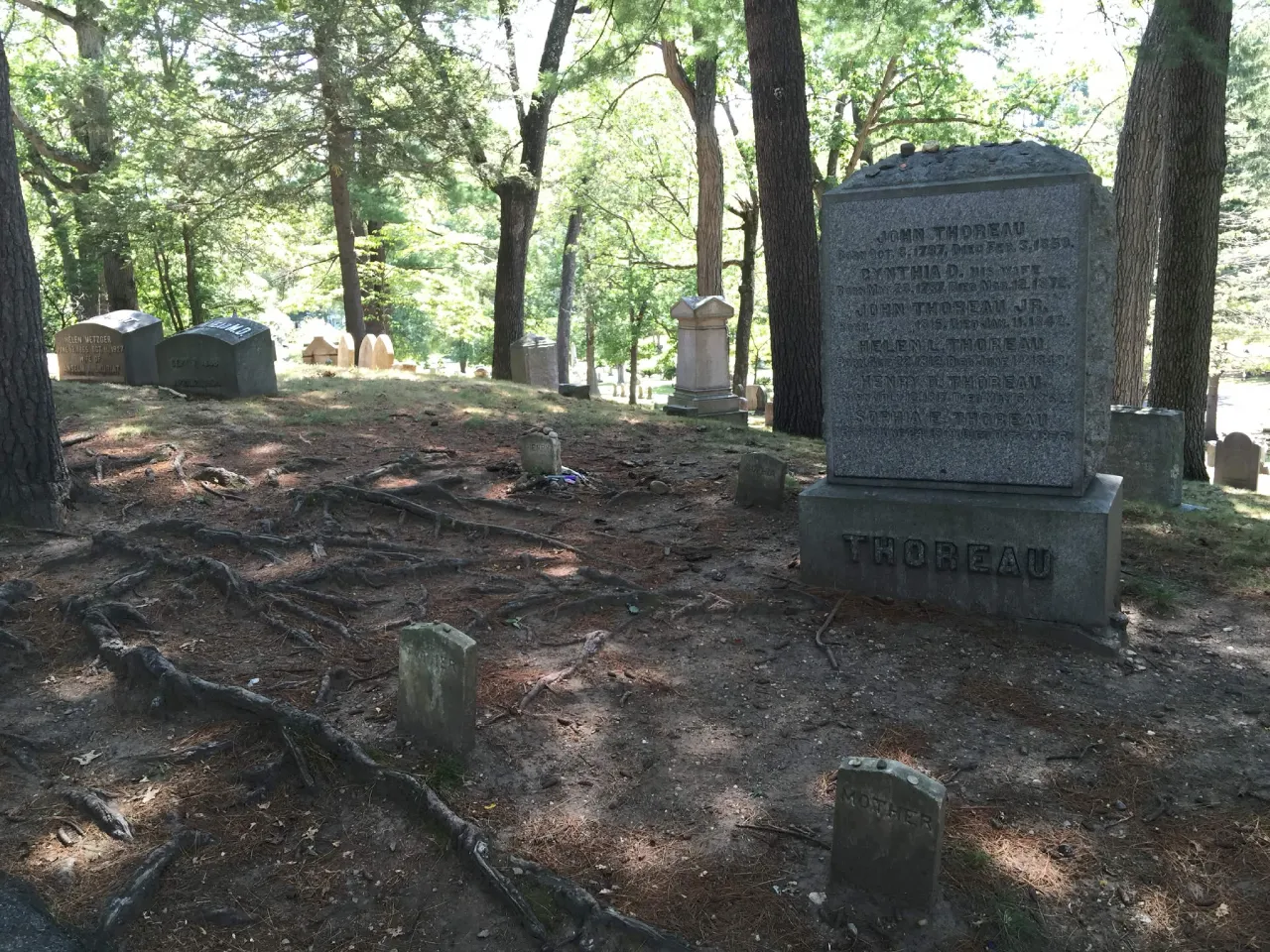 Henry David Thoreau's small grave marker on Authors' Ridge in Concord, Massachusetts